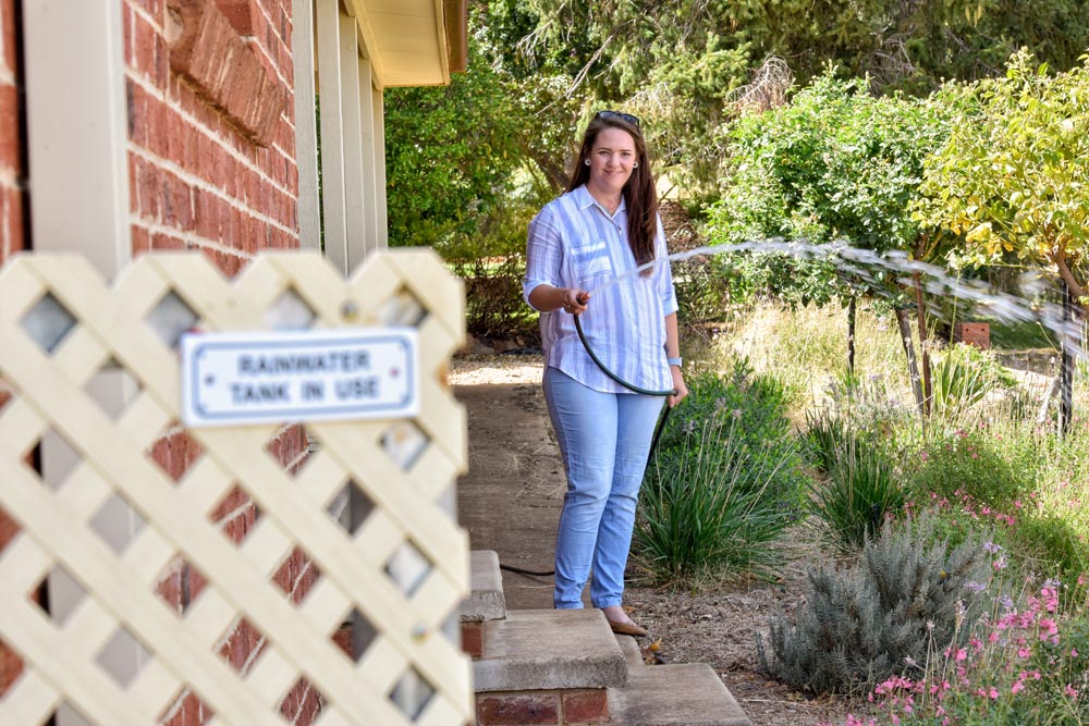 Saving-water-around-the-yard.jpg